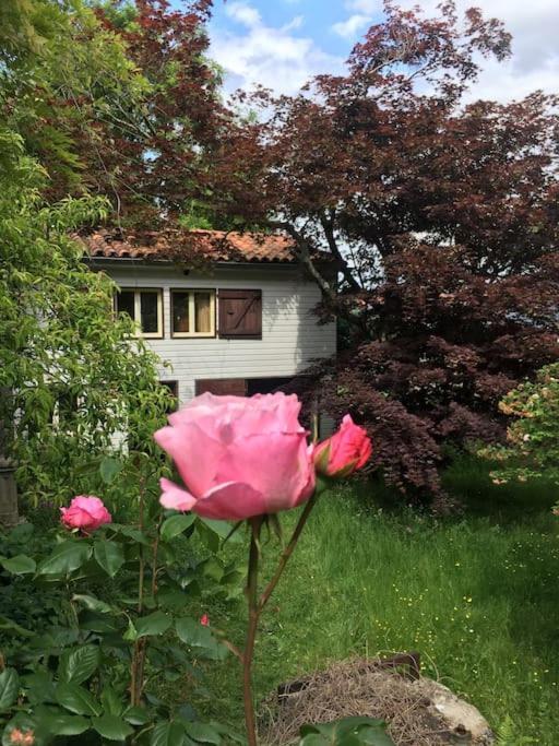 Villa Lerable Pourpre De La Grotte Au Lion Arbon Esterno foto