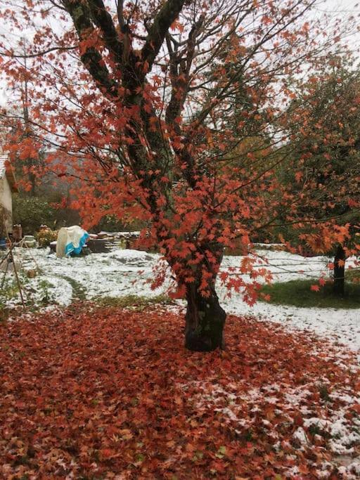Villa Lerable Pourpre De La Grotte Au Lion Arbon Esterno foto