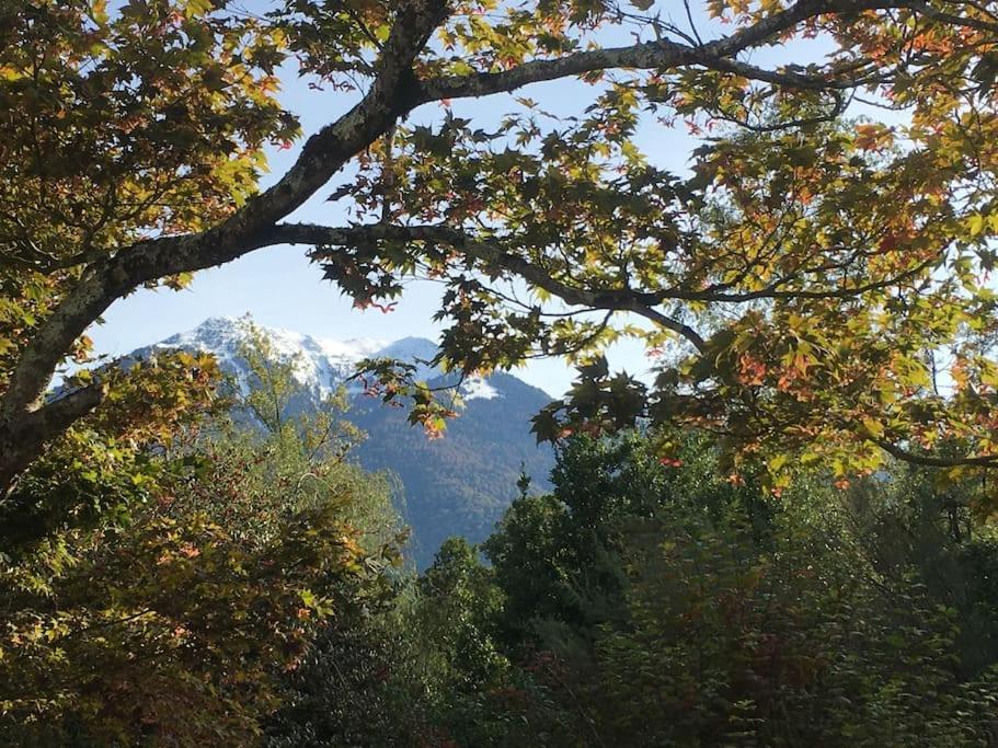 Villa Lerable Pourpre De La Grotte Au Lion Arbon Esterno foto